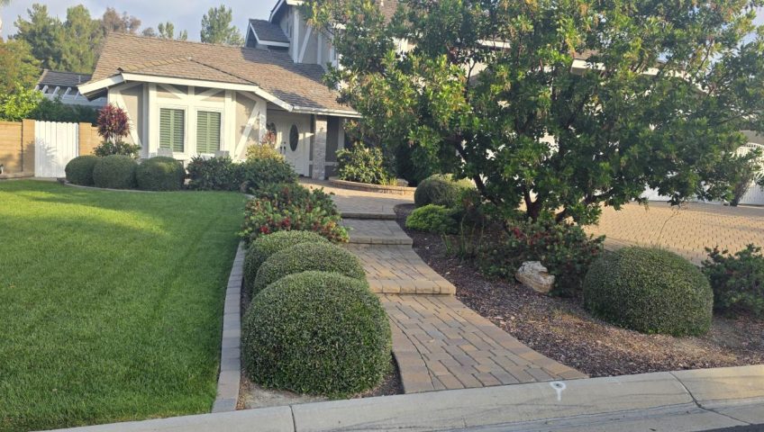 Outdoor Design Support